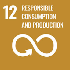 Responsible consumption and production