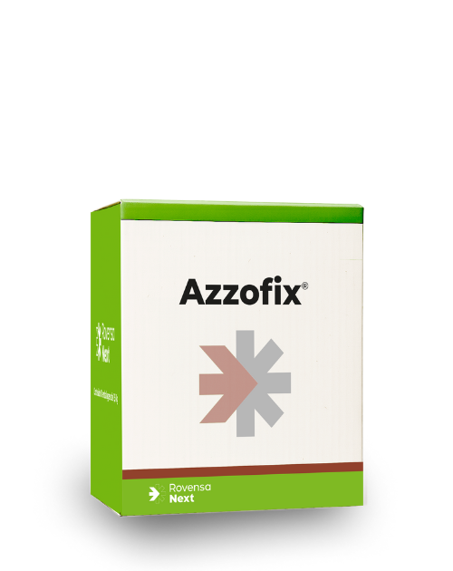 Seed treatment microbial-based solution for improved nutrient use efficiency.