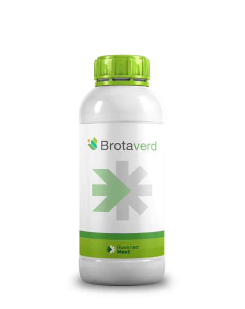 Brotaverd 1L