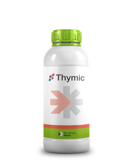 Thymic 1L