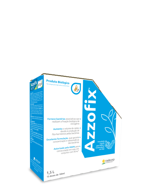 azzofix