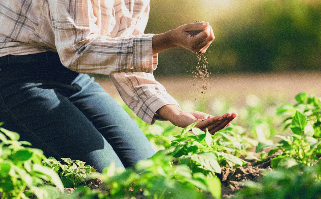 agriculture-soil-and-farmer-hands-with-environmen