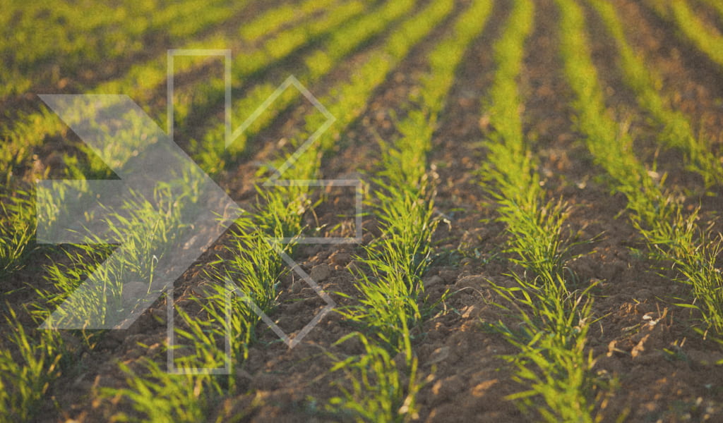 The main types of abiotic stress that affect crop production