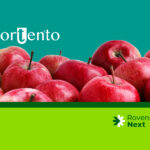 Portento® Biofungicide – An innovative solution for effective fungal disease control