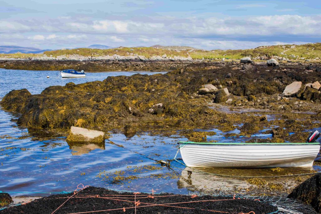 Kilcar, IrelandSeaweed extraction plant (Rovensa Next) from local high-quality sources