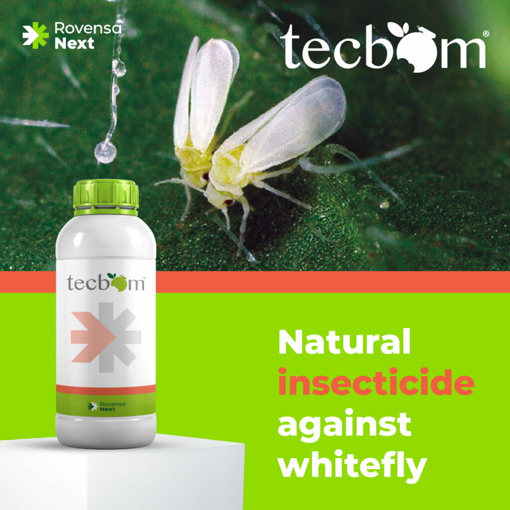 tecbom - natural insecticide agains whitefly - Rovensa Next