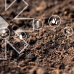 Biosolutions strategies in agriculture: the key to healthier soils and sustainable farming - Rovensa Next
