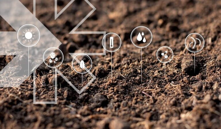 Biosolutions strategies in agriculture: the key to healthier soils and sustainable farming - Rovensa Next