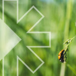 Biosolutions and biodiversity - Rovensa Next biosolutions