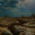 Mitigate the abiotic stresses affecting your crops with Biostimulation 360°