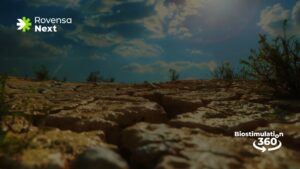 Mitigate the abiotic stresses affecting your crops with Biostimulation 360°