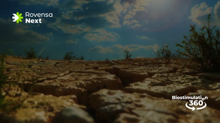 Mitigate the abiotic stresses affecting your crops with Biostimulation 360°