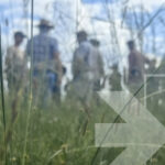 How Rovensa Next’s experts bring biosolutions to life in the field