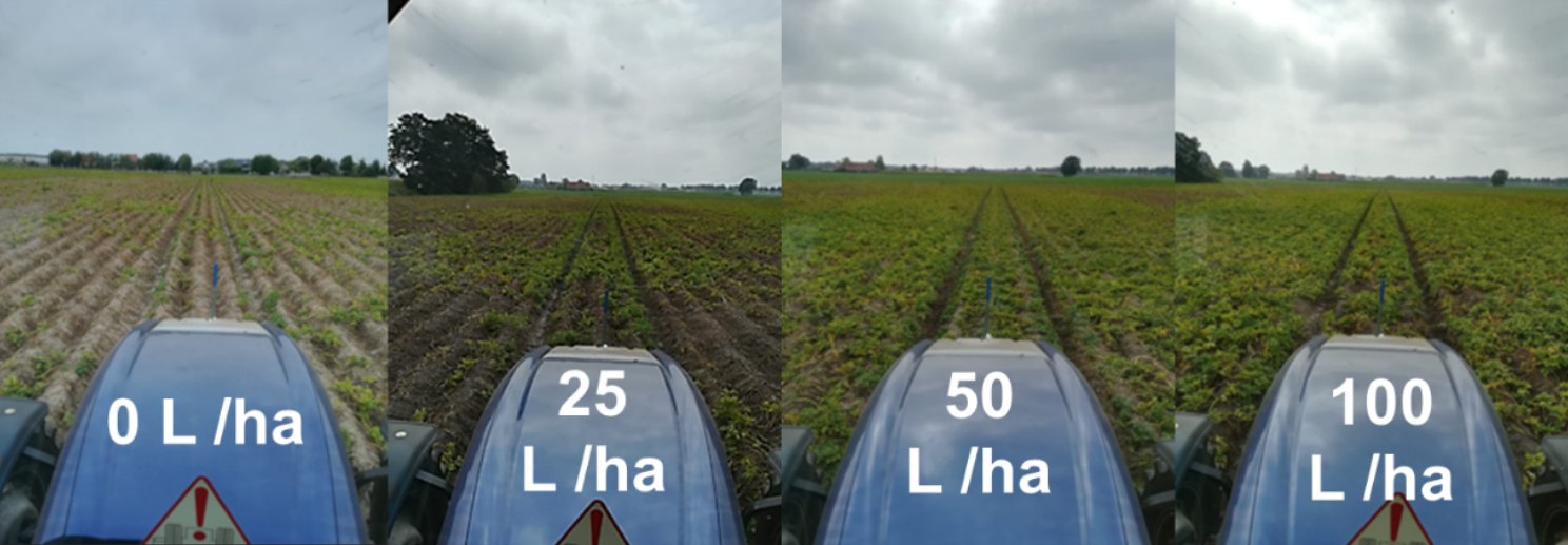 Humifirst on potato during high drought stress period
