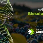 What are biosolutions in agriculture? Rovensa Next