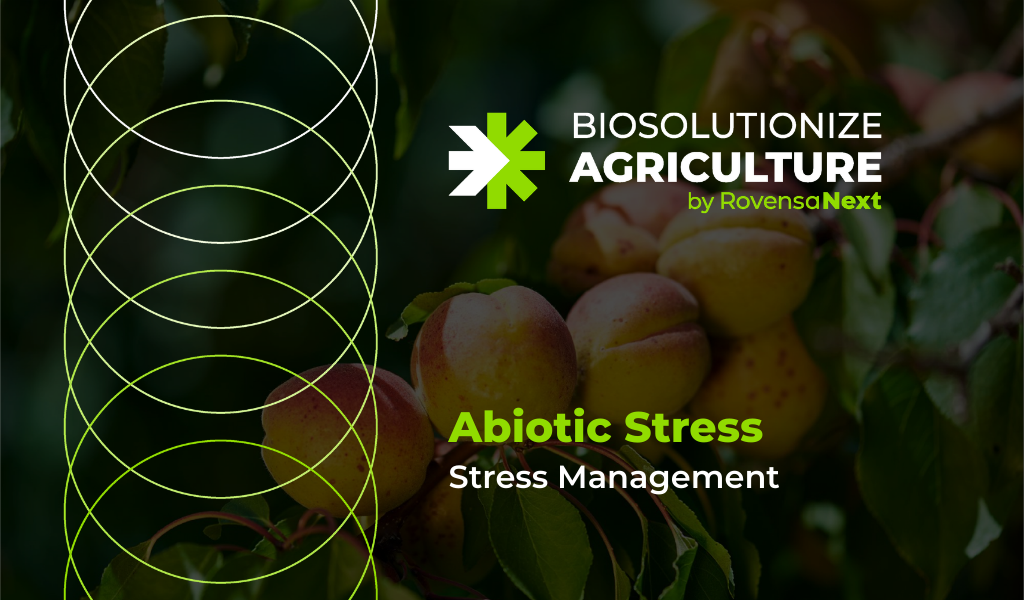 Abiotic stress mitigation begins with Biosolutionize Agriculture