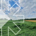 Abiotic stress mitigation begins with Biosolutionize Agriculture - Rovensa Next