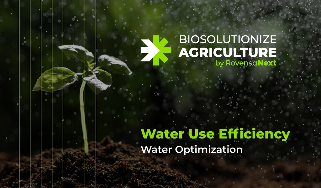 Biosolutionize Agriculture: driving profitable and sustainable farming through water use efficiency