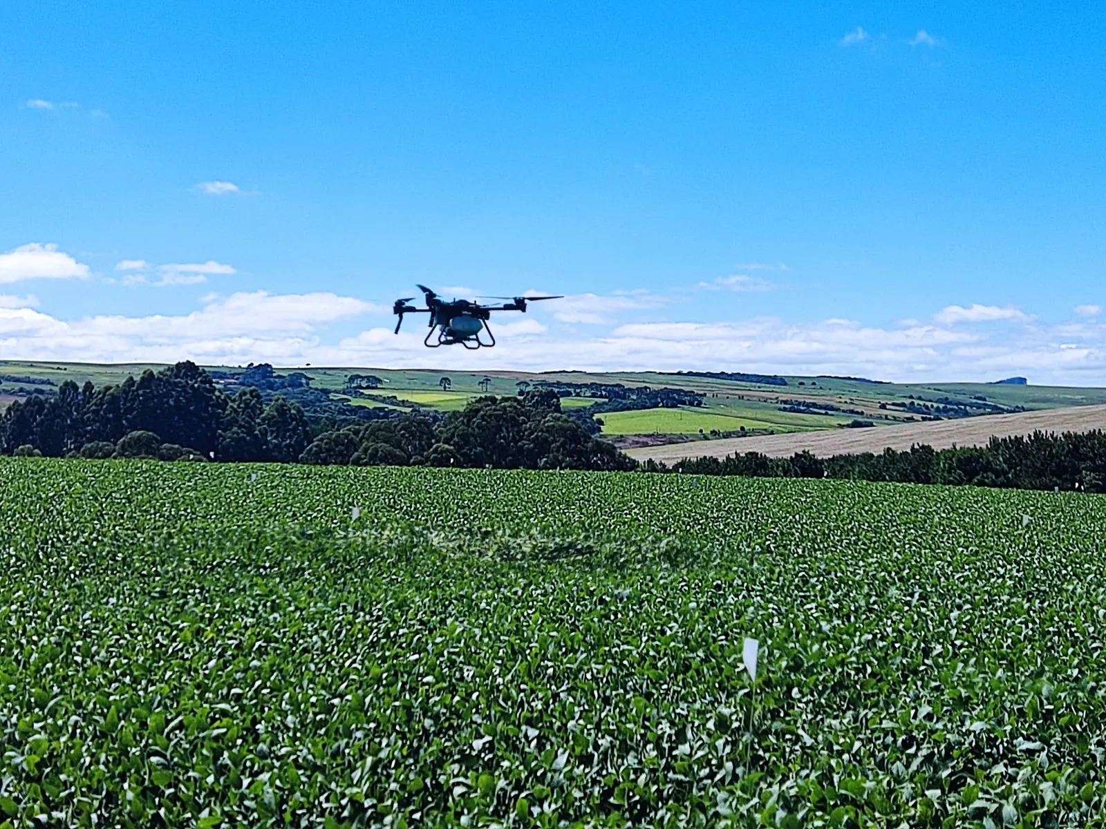 FAUVE Projec - Rovensa Next - drone spraying