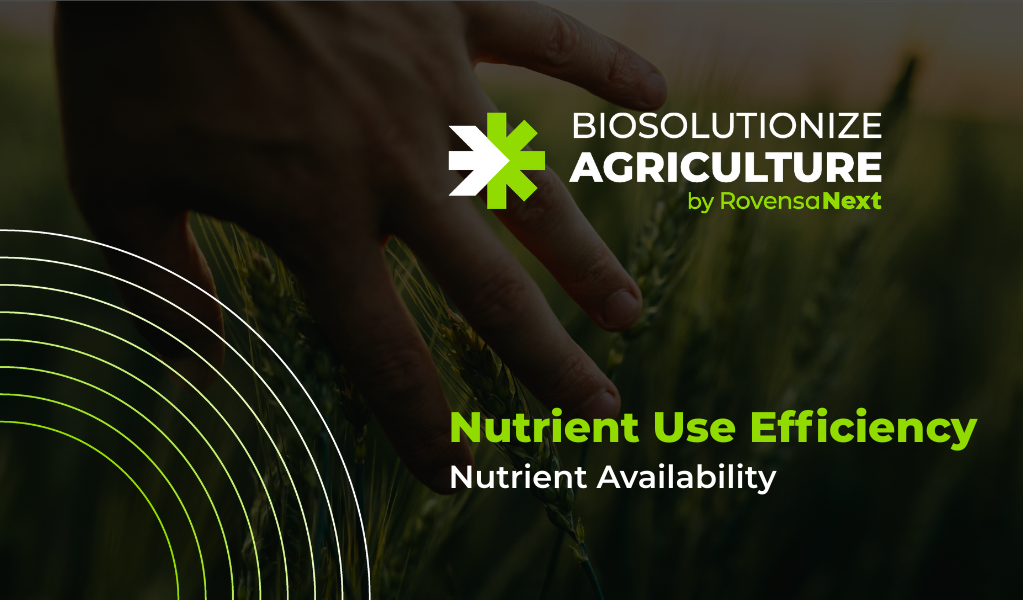 Biosolutionize Agriculture: how nutrient availability and nutrient use efficiency drive sustainable farming ecosystems