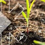 Biosolutionize Agriculture: how nutrient availability and nutrient use efficiency drive sustainable farming ecosystems
