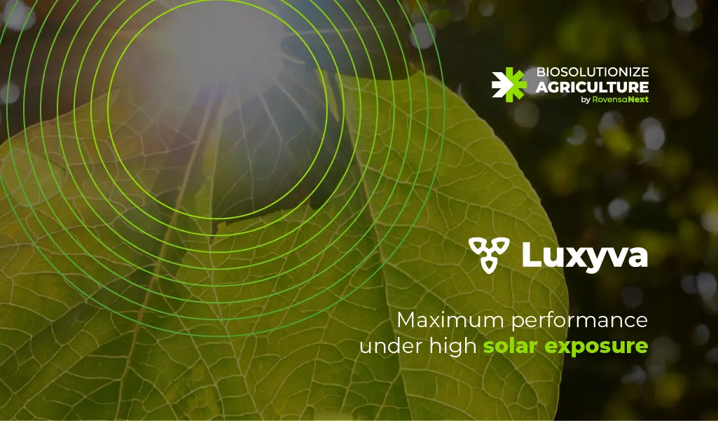 Rovensa Next launches LUXYVA® in Mexico, a biosolution to strengthen crop performance under high solar radiation