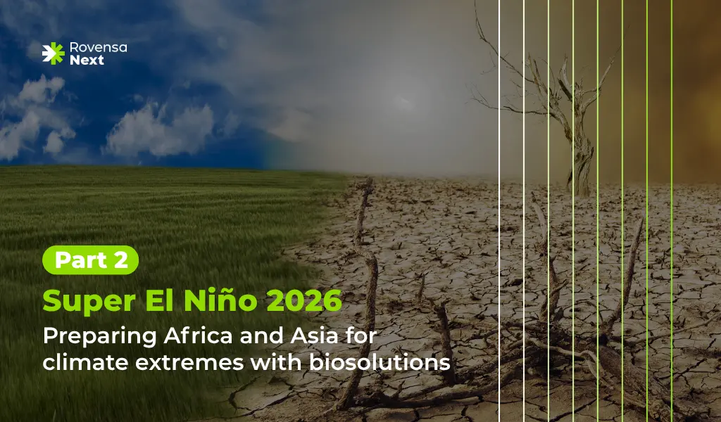 Asia & Africa Part 2 - Super El Niño - Rovensa Next
