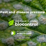 'We have it under biocontrol
