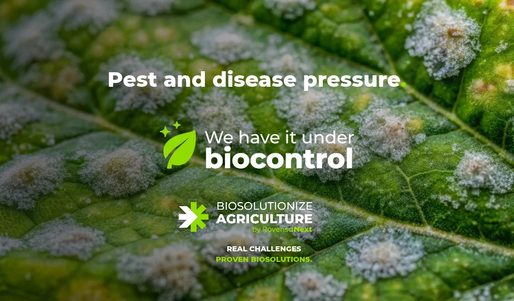 'We have it under biocontrol