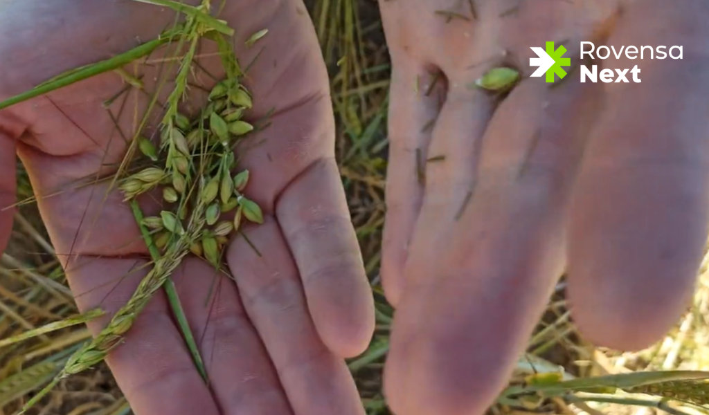 The science and controversy surrounding biodynamic agriculture