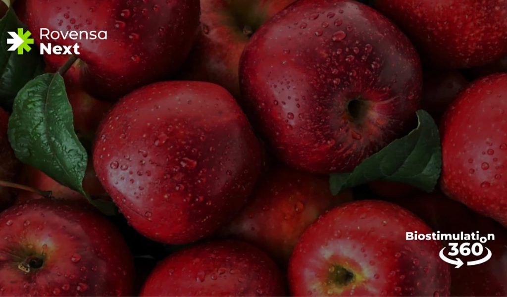 Biostimulation 360º