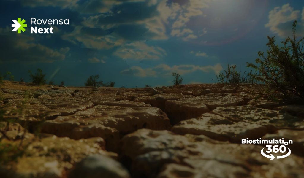 Mitigate the abiotic stresses affecting your crops with Biostimulation 360°