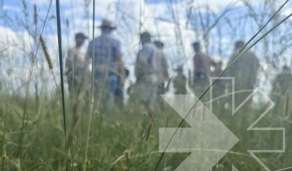 How Rovensa Next’s experts bring biosolutions to life in the field