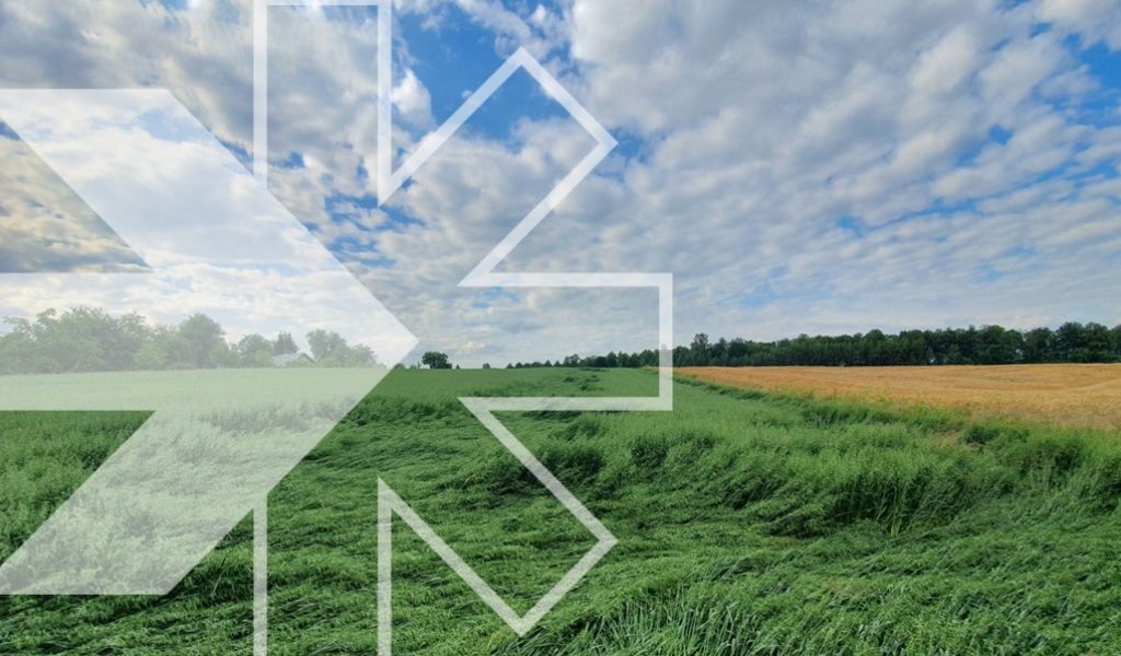 Abiotic stress mitigation begins with Biosolutionize Agriculture - Rovensa Next